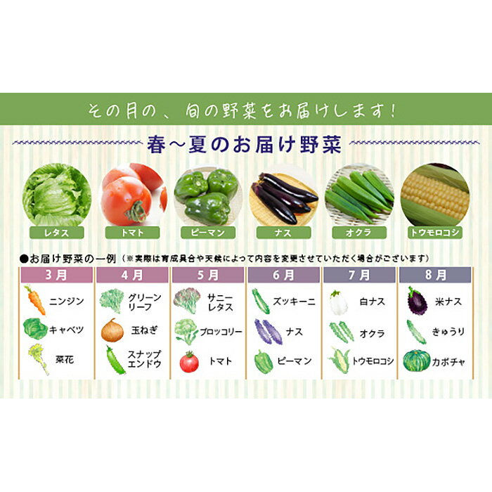 【ふるさと納税】 今が旬！お野菜の詰め合わせセット ／ 旬野菜 詰め合わせ 野菜セット 新鮮 冷蔵 旬食材 食卓 野菜レシピ 無農薬 感想 野菜ボックス おまかせ 野菜配達 家庭料理 送料無料 愛知県 No.214 - 画像3