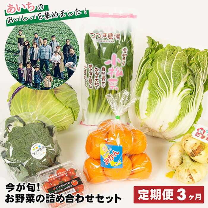 【3ヶ月定期便】今が旬！お野菜の詰め合わせセット ／ 旬野菜 定期便 詰め合わせ 野菜セット 新鮮 冷蔵 春 夏 秋 冬 8〜10種 おまかせ 食材 ボックス 家庭料理 野菜レシピ お取り寄せ 送料無料 愛知県 No.215