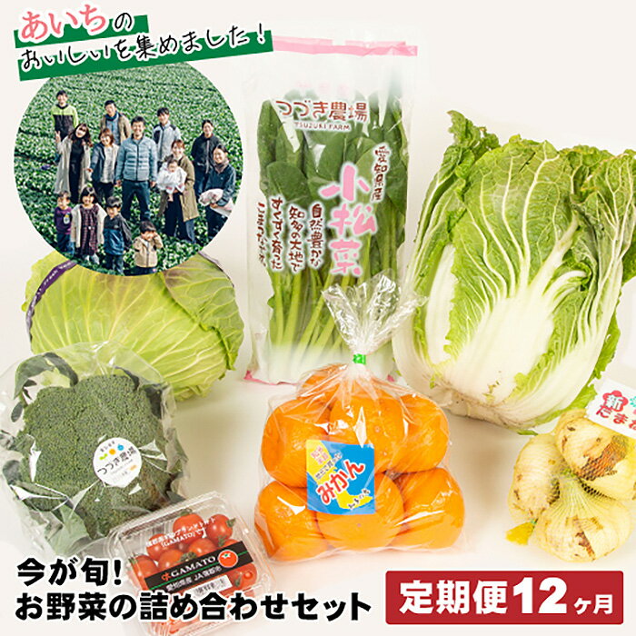 【12ヶ月定期便】今が旬！お野菜の詰め合わせセット ／ 旬野菜 定期便 詰め合わせ 野菜セット 新鮮 冷蔵 春 夏 秋 冬 8〜10種 おまかせ 食材 ボックス 家庭料理 野菜レシピ お取り寄せ 送料無料 愛知県 No.217