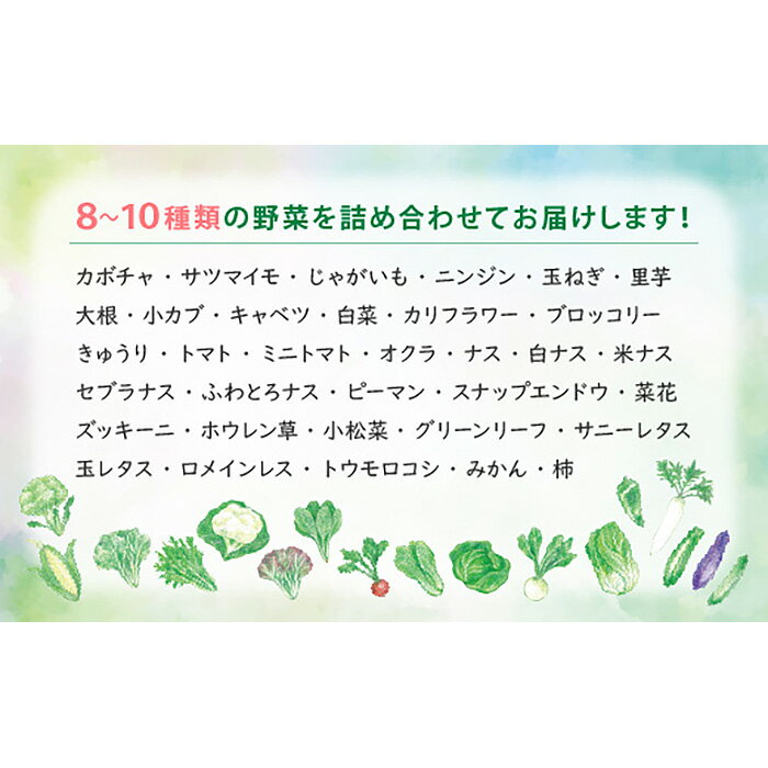 【ふるさと納税】 【12ヶ月定期便】今が旬！お野菜の詰め合わせセット ／ 旬野菜 定期便 詰め合わせ 野菜セット 新鮮 冷蔵 春 夏 秋 冬 8〜10種 おまかせ 食材 ボックス 家庭料理 野菜レシピ お取り寄せ 送料無料 愛知県 No.217 - 画像2