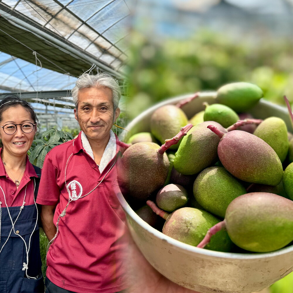 【ふるさと納税】No.225 幻のマンゴーと初恋マンゴージャムセット ／ ジャム マンゴー 濃厚 甘み 完熟 てん菜 無添加 子供 妊婦さん 安全 送料無料 愛知県 サムネイル3