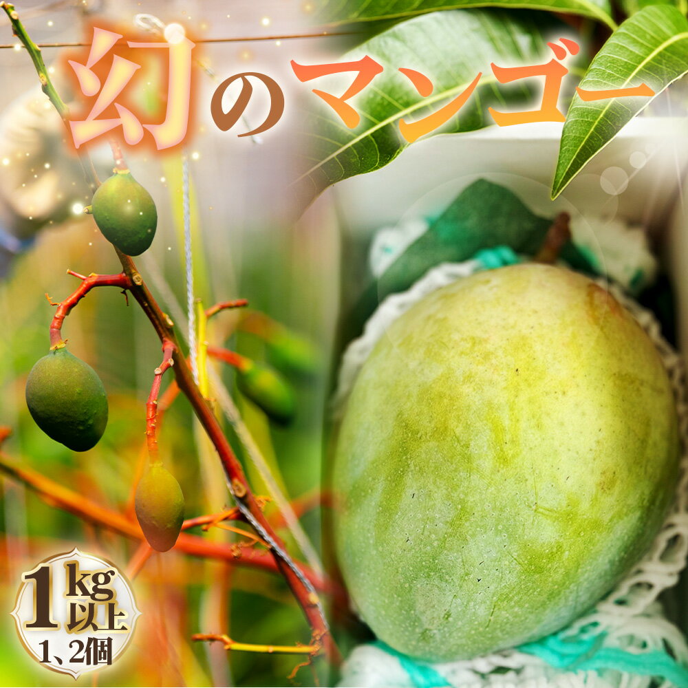 No.226 幻のマンゴー　1kg以上 ／ マンゴー 大型 果物 フルーツ 糖度が高い 繊維質が少ない 濃厚 甘み 完熟 人気の高い品種 送料無料 愛知県