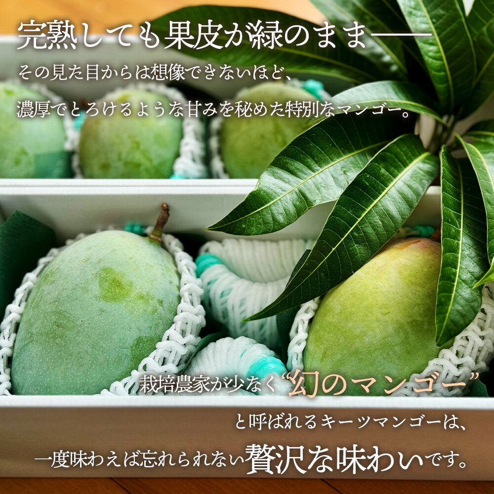 【ふるさと納税】No.226 幻のマンゴー　1kg以上 ／ マンゴー 大型 果物 フルーツ 糖度が高い 繊維質が少ない 濃厚 甘み 完熟 人気の高い品種 送料無料 愛知県 サムネイル2