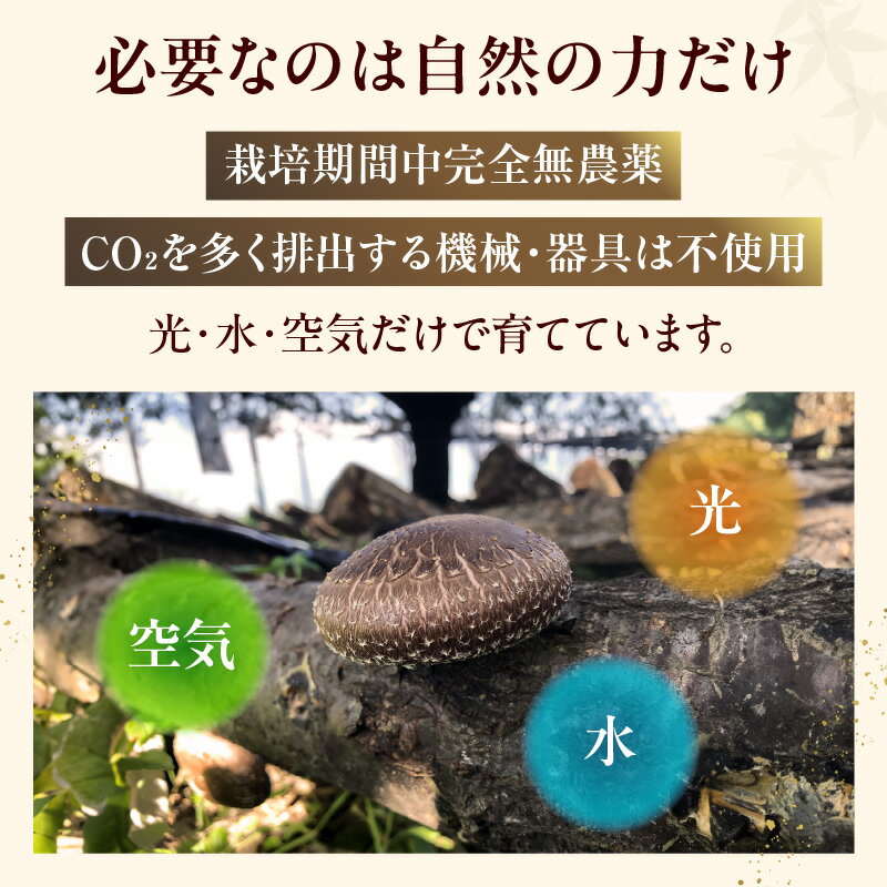 【ふるさと納税】《先行予約》東浦町産 原木栽培生しいたけ【選べる内容量 500g・1kg】原木しいたけ 生しいたけ 国産 野菜 原木栽培 予約 東浦町 愛知県 ナカセ農園 【2026年10月～発送】送料無料 [AG001] - 画像3