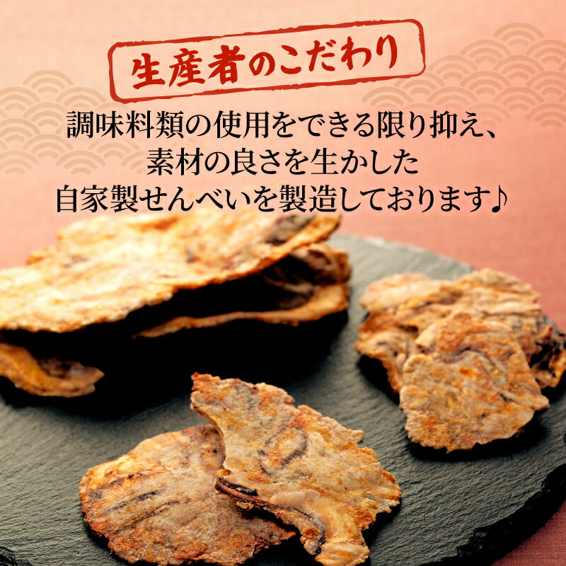 【ふるさと納税】 素材の味が堪らない! いか せんべい 訳あり いか 唐揚げ せんべい 100g × 3袋 5袋 セット イカ せんべい えびせん われせん 不揃い 煎餅 美味しい お菓子 おかし おつまみ ビールに合う 人気 ワケアリ 簡易包装 愛知県 南知多町 サムネイル2