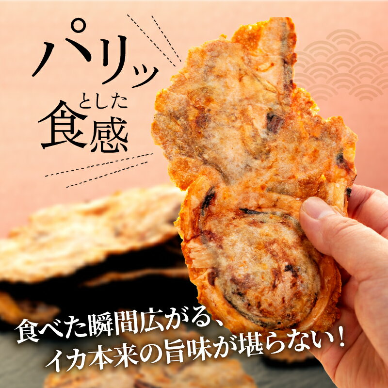 【ふるさと納税】 素材の味が堪らない! いか せんべい 訳あり いか 唐揚げ せんべい 100g × 3袋 5袋 セット イカ せんべい えびせん われせん 不揃い 煎餅 美味しい お菓子 おかし おつまみ ビールに合う 人気 ワケアリ 簡易包装 愛知県 南知多町 サムネイル3