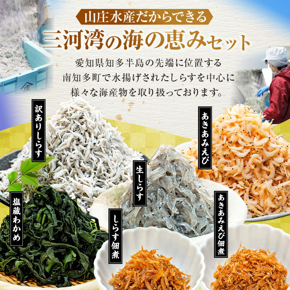 【ふるさと納税】 選べる 訳あり しらすセット しらす アキアミエビ 生しらす 塩蔵わかめ しらす佃煮 あきあみえび佃煮 規格外 簡易包装 小分け しらす干し オールスター 海鮮 新鮮 魚 海老 エビ 夕食 晩ごはん 惣菜 夕ご飯 愛知県 南知多町 - 画像2