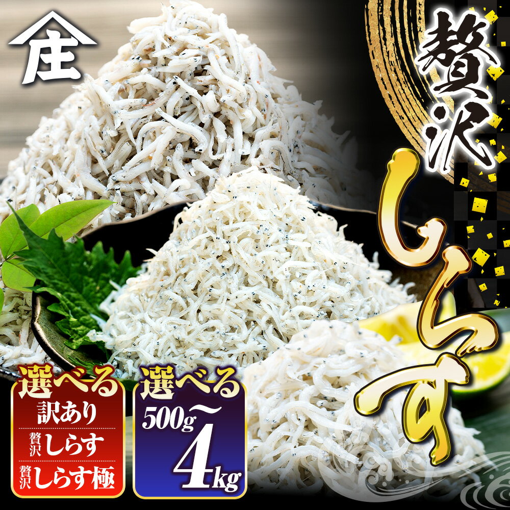 【特別寄附額】【高評価率94.2%】 選べる 国産しらす 500g - 4kg 訳あり 贈答 ギフト しらす干し 減塩 極み 山庄 ふるさと納税しらす ちりめん 規格外 しらす 魚 海鮮 魚介類 魚貝 規格外 健康 ダイエット 人気 ランキング 5000円 美味しい 南知多 愛知県
