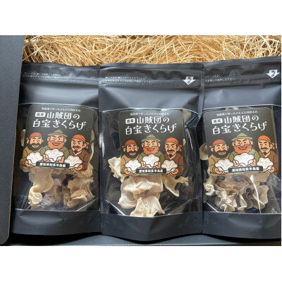【国産】山賊団の白宝きくらげ(肉厚プルプル) 20g 3個セット【1717882】