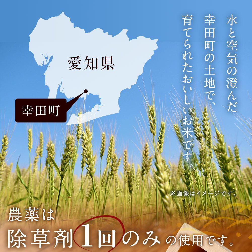 【ふるさと納税】幸田町産 栄養週期栽培米 あいちのかおり 10kg 米 お米 白米 精米 送料無料 - 画像3
