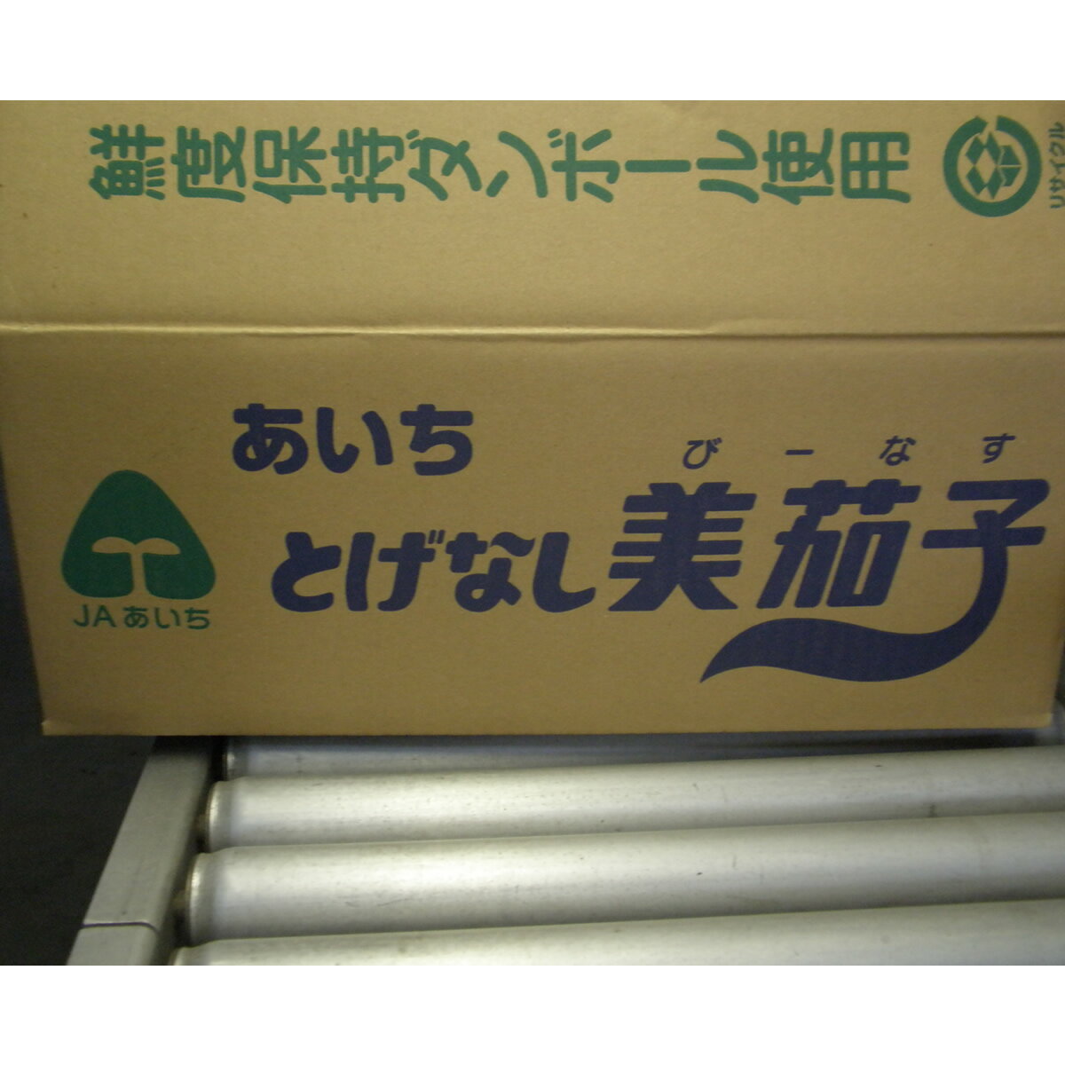 【ふるさと納税】幸田町産「とげなし美茄子」 5kg ｜ なす ナス 茄子 野菜 ※11月～6月に順次発送予定 - 画像2