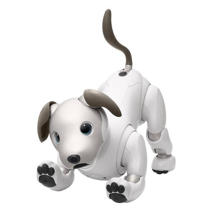 【ふるさと納税】aibo 自律型エンタテインメントロボット(カラー：アイボリーホワイト)　【令和2年度　全国発明表彰「内閣総理大臣賞」受賞】アイボ サムネイル2