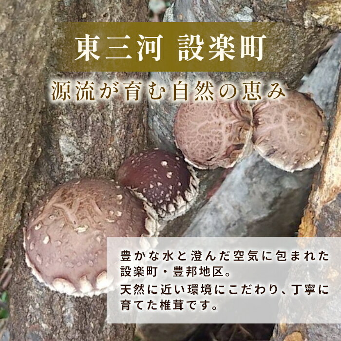 【ふるさと納税】無農薬 原木栽培 肉厚 とよくに清流 ほししいたけ 40g しいたけ 椎茸 シイタケ 原木椎茸 野菜 きのこ 無農薬栽培 干ししいたけ 乾燥しいたけ 干し椎茸 バーベキュー お試し 煮物 -347 - 画像2