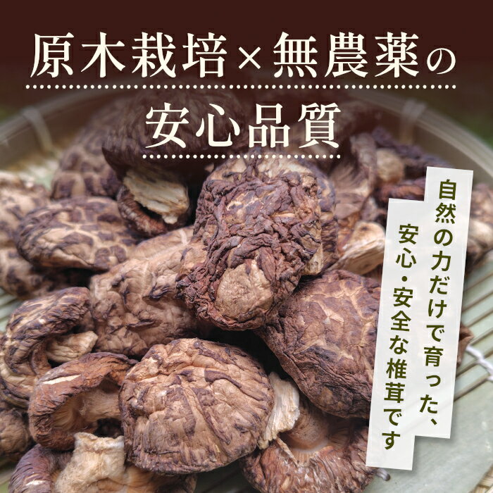【ふるさと納税】無農薬 原木栽培 肉厚 とよくに清流 ほししいたけ 40g しいたけ 椎茸 シイタケ 原木椎茸 野菜 きのこ 無農薬栽培 干ししいたけ 乾燥しいたけ 干し椎茸 バーベキュー お試し 煮物 -347 - 画像3