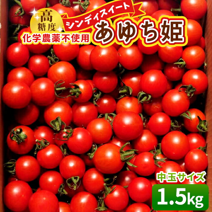 化学農薬不使用 中玉トマト シンディースイート あゆち姫 1.5Kgトマト ミニトマト とまと 野菜 中玉 夏野菜 高糖度 -013