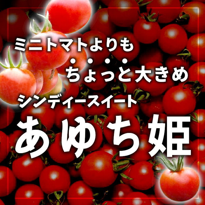 【ふるさと納税】化学農薬不使用 中玉トマト シンディースイート あゆち姫 1.5Kgトマト ミニトマト とまと 野菜 中玉 夏野菜 高糖度 -013 - 画像2