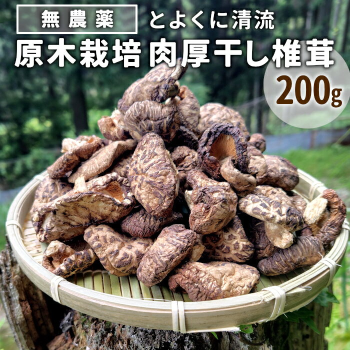 無農薬 原木栽培 肉厚 とよくに清流 ほししいたけ 200g しいたけ 椎茸 シイタケ 原木椎茸 野菜 きのこ 無農薬栽培 干ししいたけ 乾燥しいたけ 干し椎茸 バーベキュー -017