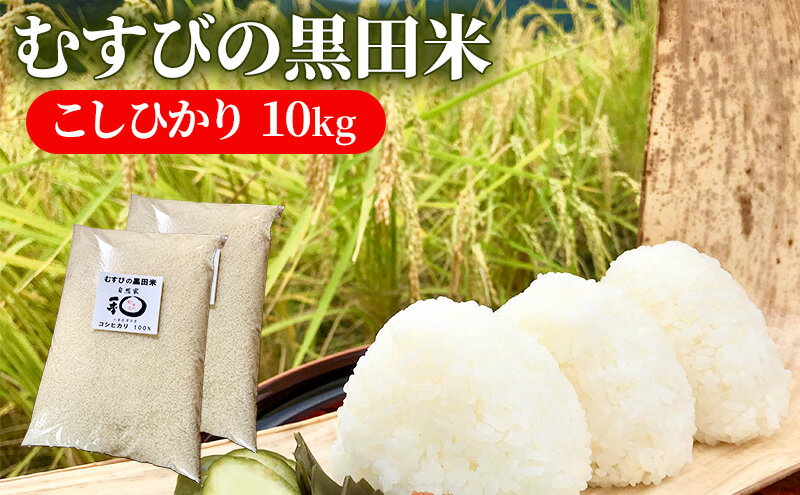 【ふるさと納税】むすびの黒田米 こしひかり 10キロ [ 米 お米 10kg 5kg×2袋 コシヒカリ お弁当 おむすび 冷めても美味しい ] - 画像2