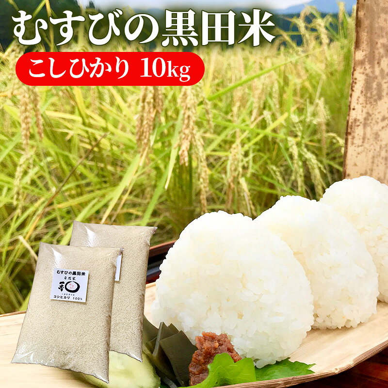 むすびの黒田米 こしひかり 10キロ [ 米 お米 10kg 5kg×2袋 コシヒカリ お弁当 おむすび 冷めても美味しい ]