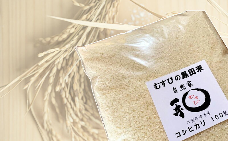 【ふるさと納税】むすびの黒田米 こしひかり 10キロ [ 米 お米 10kg 5kg×2袋 コシヒカリ お弁当 おむすび 冷めても美味しい ] - 画像3