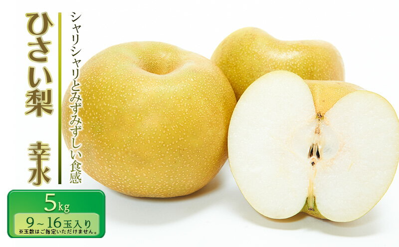 【ふるさと納税】【先行予約】ひさい梨 幸水 5kg【果樹 秀専】 [ 梨 ナシ 果物 フルーツ 産地直送 ] 　お届け：2026年7月29日～2026年8月31日に発送します。 サムネイル2