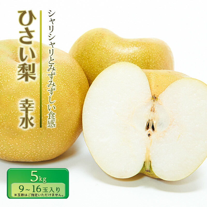 【先行予約】ひさい梨 幸水 5kg【果樹 秀専】 [ 梨 ナシ 果物 フルーツ 産地直送 ] 　お届け：2026年7月29日～2026年8月31日に発送します。
