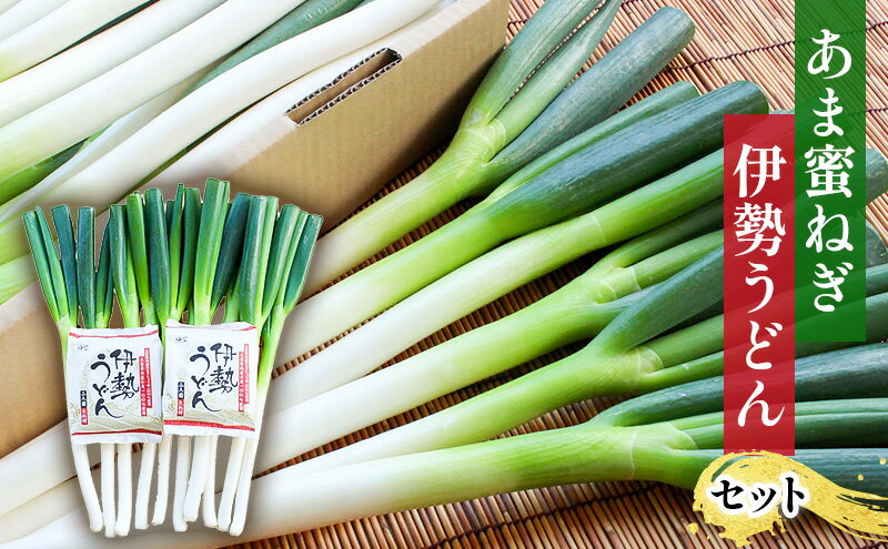 【ふるさと納税】あま蜜ねぎ・伊勢うどんセット【野菜 ねぎ ネギ 長ネギ うどん】 麺類 - 画像2