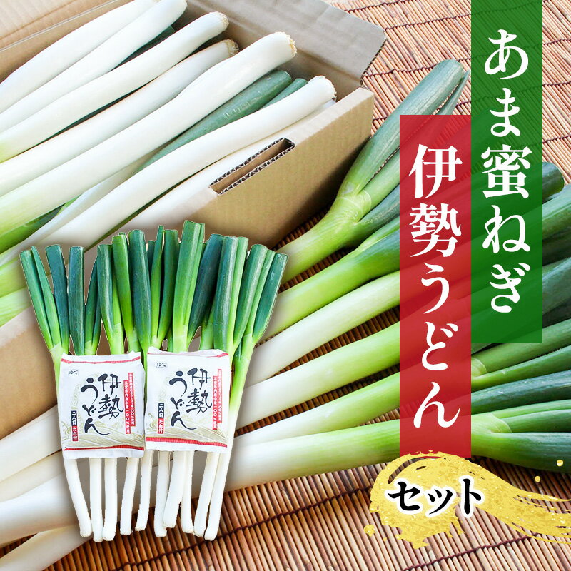 あま蜜ねぎ・伊勢うどんセット【野菜 ねぎ ネギ 長ネギ うどん】 麺類