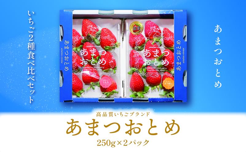 【ふるさと納税】あまつおとめ いちご 2品種 食べ比べセット 計500g (250g×2パック)[ 五感で楽しむ至福のいちご よつぼし かおり野 スターナイト うた乃 ほしうらら 果物 フルーツ 苺 イチゴ ブランド 詰め合わせ お楽しみ 人気 ]　お届け：2026年1月中旬～5月下旬予定 サムネイル2