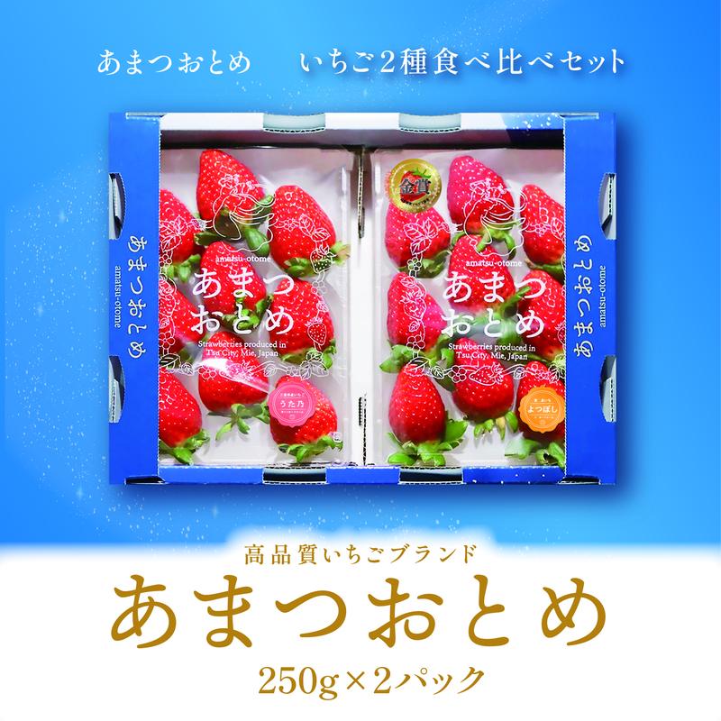 あまつおとめ いちご 2品種 食べ比べセット 計500g (250g×2パック)[ 五感で楽しむ至福のいちご よつぼし かおり野 スターナイト うた乃 ほしうらら 果物 フルーツ 苺 イチゴ ブランド 詰め合わせ お楽しみ 人気 ]　お届け：2026年1月中旬～5月下旬予定