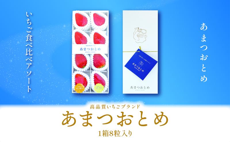 【ふるさと納税】あまつおとめ いちご アソート ギフト BOX 1箱 8粒入り 250g [ 五感で楽しむ至福のいちご よつぼし かおり野 スターナイト うた乃 ほしうらら フルーツ 苺 イチゴ ] 　お届け：2026年1月中旬～5月下旬予定 サムネイル2