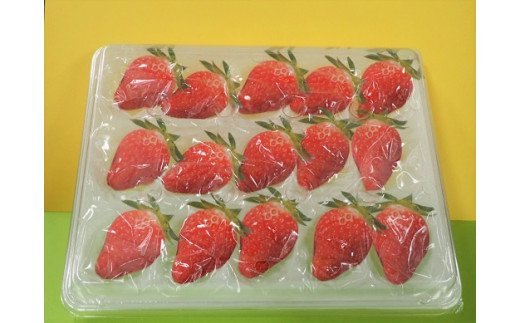 【ふるさと納税】1718　かおり野　いちご サムネイル3