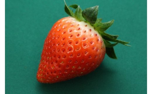 【ふるさと納税】1718　かおり野　いちご サムネイル2