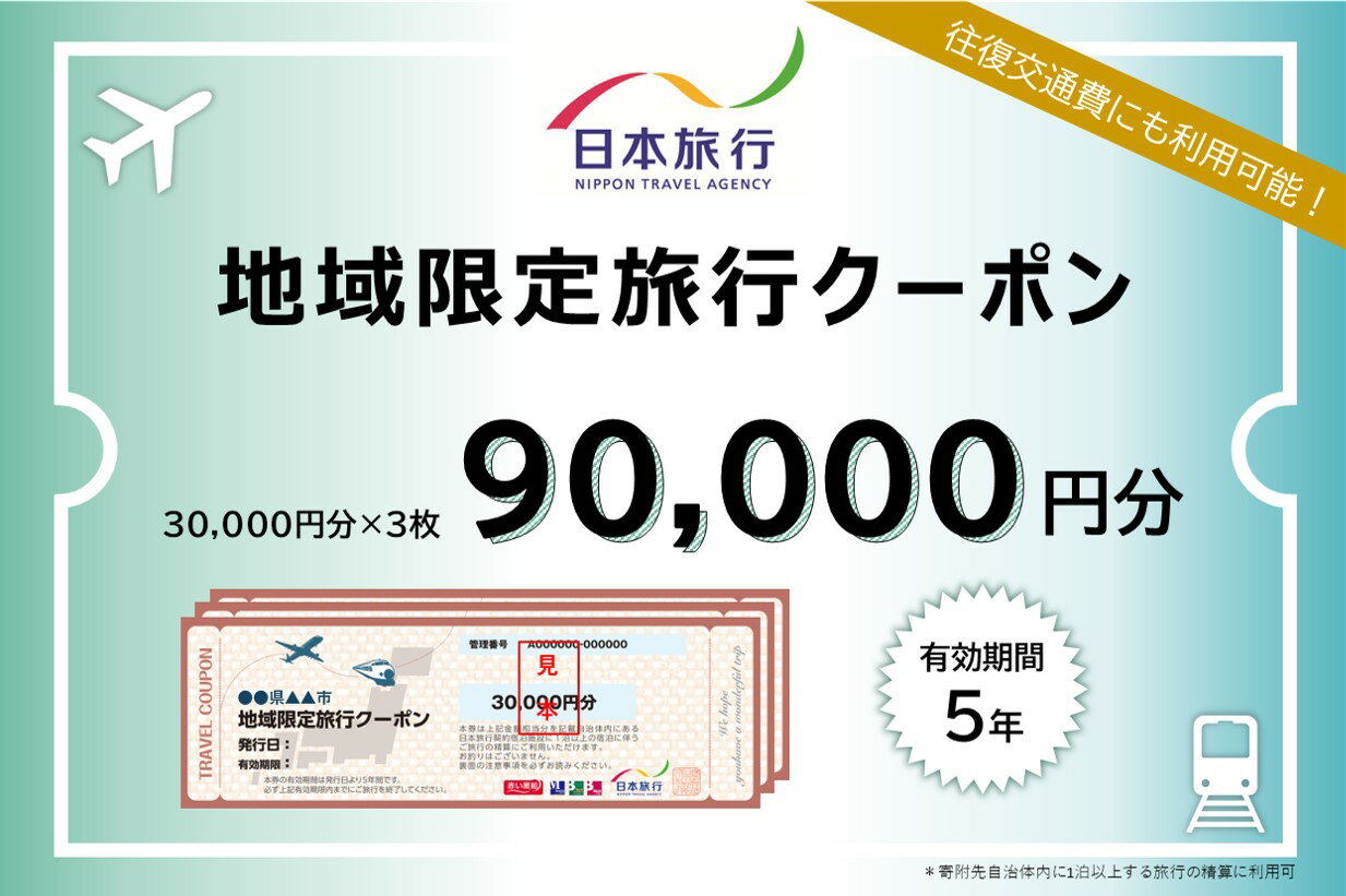 1338三重県伊勢市 地域限定旅行クーポン 90,000円分　チケット 旅行 宿泊券 ホテル 観光 旅行券 交通費 体験 宿泊 家族旅行 ひとり 夫婦 お陰参り 伊勢神宮