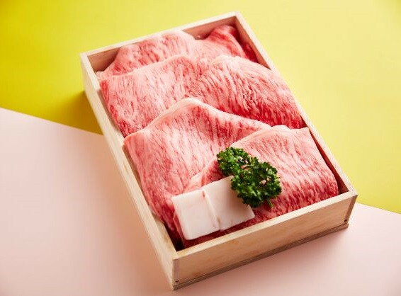 【カタログギフト】松阪特産品オリジナルデジタルカタログ＜寄附金額5万円コース＞カードタイプ webカタログ デジタルカタログ ネットカタログ ギフトカタログ