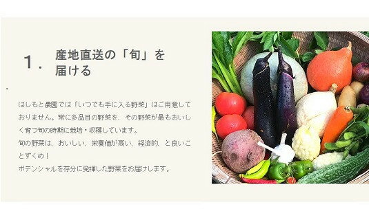 【ふるさと納税】伊勢ノ国のがぶっと野菜玉手箱　：　隔週1回定期便（大人4人1週間分）26回【はしもと農園】 - 画像3