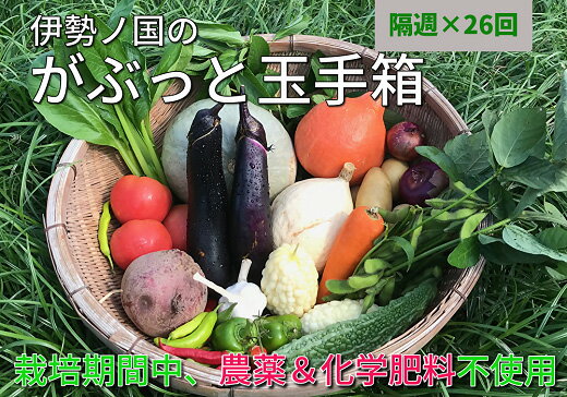 伊勢ノ国のがぶっと野菜玉手箱　：　隔週1回定期便（大人4人1週間分）26回【はしもと農園】