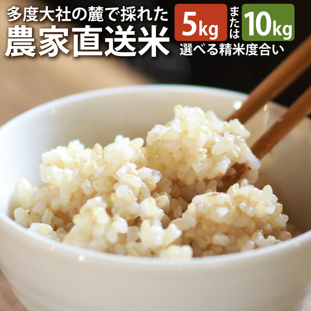 車久米穀販売 多度大社の麓で採れた農家直送米 玄米 5kg / 10kg 【選べる精米度合い】 コシヒカリ 令和7年産 お米 こめ 単一原料米 ごはん ご飯 三重県産 国産 三重県 桑名市 送料無料