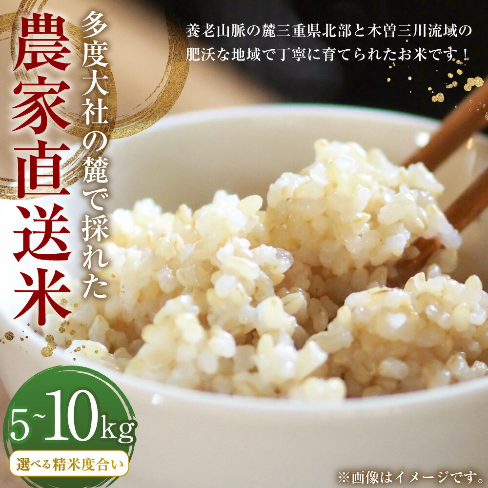 【ふるさと納税】車久米穀販売 多度大社の麓で採れた農家直送米 玄米 5kg / 10kg 【選べる精米度合い】 コシヒカリ 令和7年産 お米 こめ 単一原料米 ごはん ご飯 三重県産 国産 三重県 桑名市 送料無料 - 画像2
