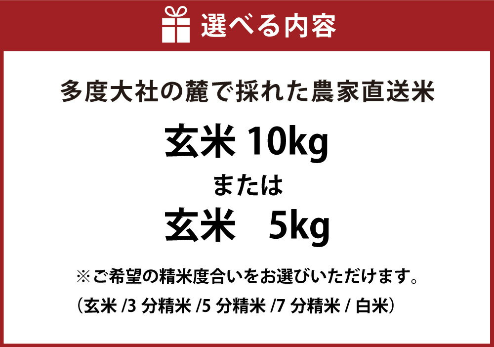 【ふるさと納税】車久米穀販売 多度大社の麓で採れた農家直送米 玄米 5kg / 10kg 【選べる精米度合い】 コシヒカリ 令和7年産 お米 こめ 単一原料米 ごはん ご飯 三重県産 国産 三重県 桑名市 送料無料 - 画像3