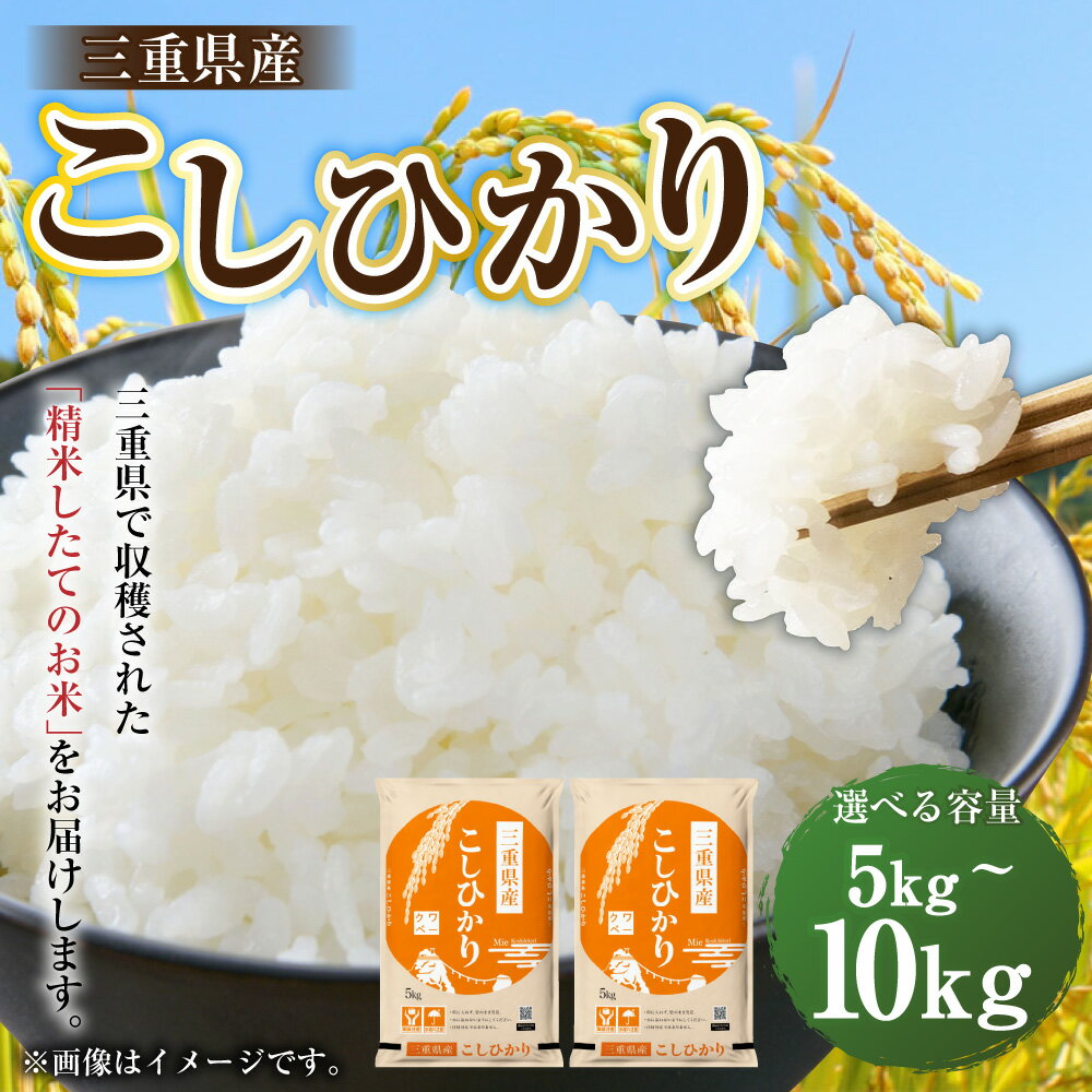 【ふるさと納税】＜選べる内容量＞桑名米商 【令和7年産】 三重県産こしひかり 5kg×1袋 / 計10kg（5kg×2袋） コシヒカリ お米 米 こめ コメ 単一原料米 ごはん ご飯 国産 三重県 桑名市 送料無料 【2026年7月下旬頃迄発送予定】 - 画像2