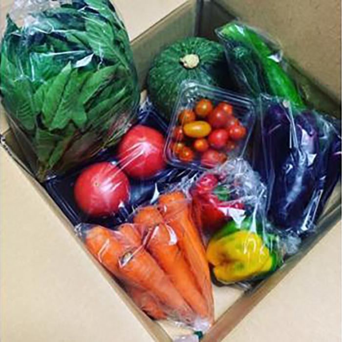 【ふるさと納税】三重県鈴鹿市産　旬の野菜セット　大満足10種類 - 画像2