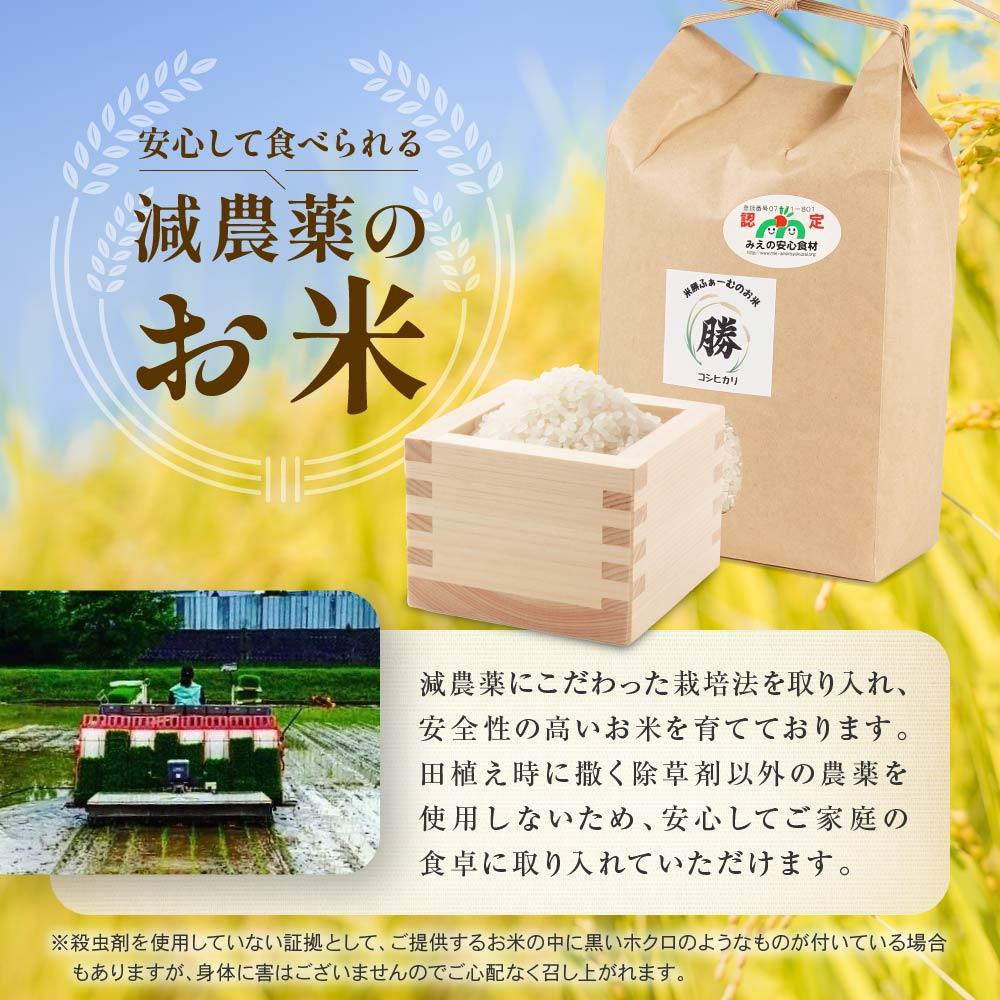 【ふるさと納税】三重県産減農薬コシヒカリ 4キロ（2キロ×2） ／ 米 精米 お米 人気 - 画像2