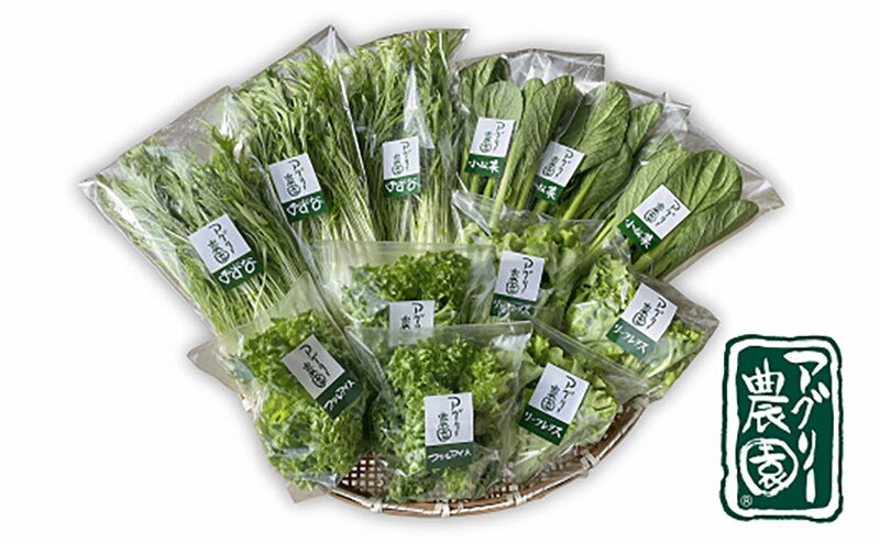 【ふるさと納税】アグリー農園水耕栽培おまかせお野菜セット - 画像2