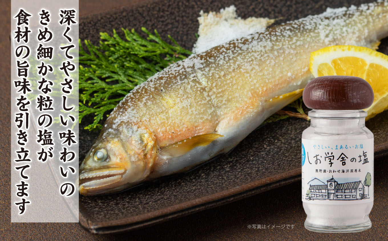 【ふるさと納税】【 海洋深層水 の 塩 】バラエティ セット 4種 米 野菜 玉子 など素材の 旨みが引き立つ 調味料 日用品 お弁当 ギフト 贈り物 にも おすすめ 三重県 尾鷲 しお学舎 MO-20 サムネイル3