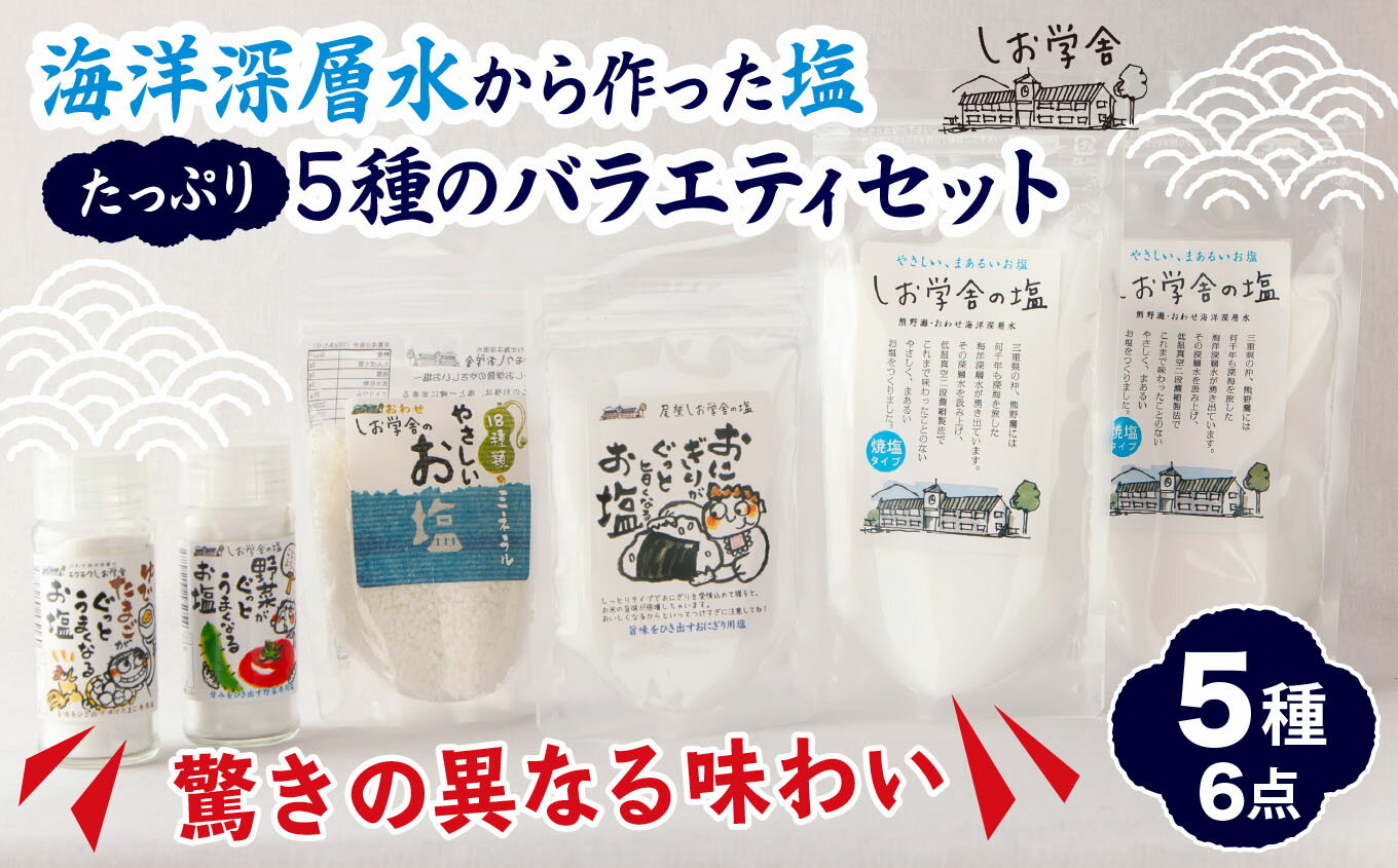 【ふるさと納税】【 海洋深層水 の 塩 】バラエティ セット たっぷり5種（6点） 米 おにぎり 野菜 玉子 など素材の 旨味が引き立つ 調味料 日用品 お弁当 ギフト 贈り物 にも おすすめ 三重県 尾鷲 しお学舎 MO-21 サムネイル2