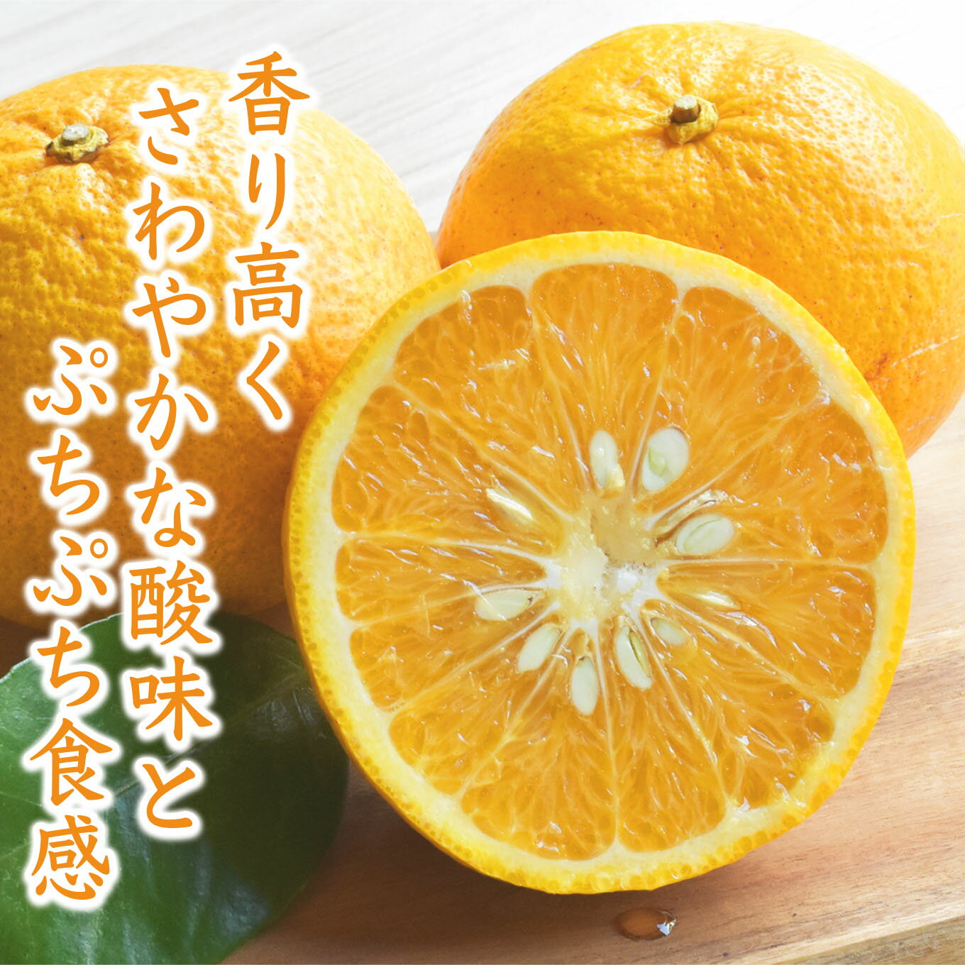 【ふるさと納税】【【先行予約 4月出荷】 おわせの雨夏（あまなつ） 10kg　無農薬 ワックス・防腐剤不使用 木成り 完熟 甘夏 ギフト 贈答 日用 でも使える 三重 尾鷲 の 柑橘 特産品 TK-16 サムネイル3
