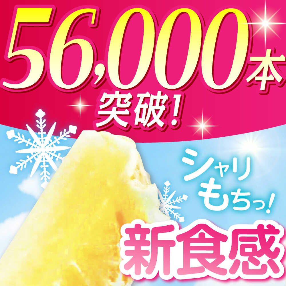 【ふるさと納税】亀山の老舗和菓子店がつくるアイスくずバー / アイスキャンディー スイーツ デザート 詰め合わせ / 亀山市 / 生甘堂 [AMAO001] - 画像2