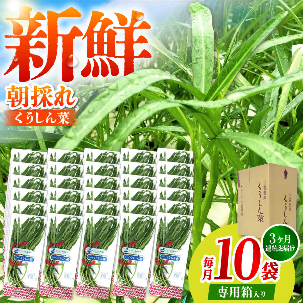 【3回定期便】新鮮朝採れ くうしん菜 計30袋 / 亀山市 / グリーンハウス吉田[AMCD003]