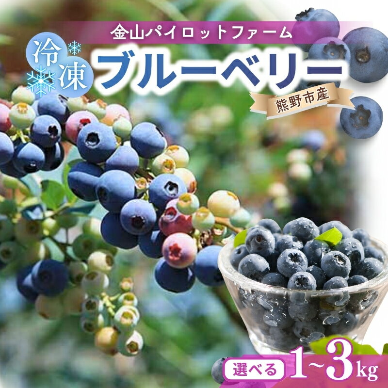 ブルーベリー 冷凍 1kg 2kg 3kg 【選べる容量】 急速冷凍 大粒 フルーツ 果物 くだもの スムージー ジャム 朝食 デザート 特産品 人気 国産 旬 金山パイロットファーム 三重県 熊野市 送料無料